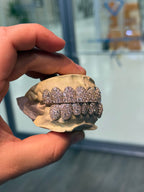 GALAXY SET CVD LAB GROWN DIAMOND GRILLZ